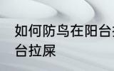 如何防鸟在阳台拉屎 如何阻止鸟在阳台拉屎