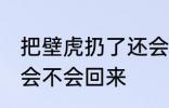 把壁虎扔了还会回来吗 把壁虎扔了还会不会回来