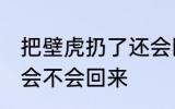 把壁虎扔了还会回来吗 把壁虎扔了还会不会回来