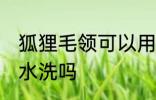 狐狸毛领可以用水洗吗 狐狸毛领能用水洗吗