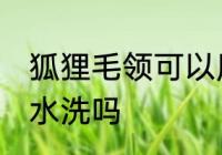 狐狸毛领可以用水洗吗 狐狸毛领能用水洗吗