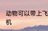 动物可以带上飞机吗 动物能不能上飞机