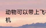 动物可以带上飞机吗 动物能不能上飞机