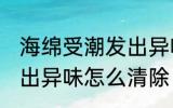 海绵受潮发出异味怎么办 海绵受潮发出异味怎么清除