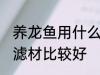 养龙鱼用什么滤材最好 养龙鱼用什么滤材比较好