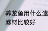 养龙鱼用什么滤材最好 养龙鱼用什么滤材比较好