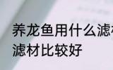养龙鱼用什么滤材最好 养龙鱼用什么滤材比较好