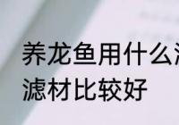 养龙鱼用什么滤材最好 养龙鱼用什么滤材比较好