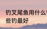 钓叉尾鱼用什么钓最好 钓叉尾鱼用哪些钓最好
