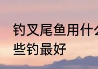 钓叉尾鱼用什么钓最好 钓叉尾鱼用哪些钓最好