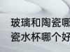 玻璃和陶瓷哪种的热水杯好 玻璃和陶瓷水杯哪个好