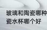玻璃和陶瓷哪种的热水杯好 玻璃和陶瓷水杯哪个好