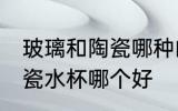 玻璃和陶瓷哪种的热水杯好 玻璃和陶瓷水杯哪个好