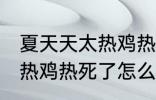 夏天天太热鸡热死了怎么办 夏天天太热鸡热死了怎么解决