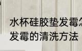 水杯硅胶垫发霉怎样清洗 水杯硅胶垫发霉的清洗方法