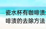 瓷水杯有咖啡渍怎么去出 瓷水杯有咖啡渍的去除方法