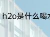 h2o是什么喝水杯子材质 h2o是什么