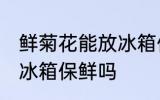 鲜菊花能放冰箱保鲜吗 鲜菊花可以放冰箱保鲜吗