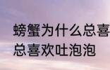 螃蟹为什么总喜欢吐泡泡 为什么螃蟹总喜欢吐泡泡