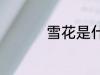 雪花是什么 什么是雪花