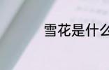 雪花是什么 什么是雪花