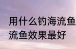 用什么钓海流鱼效果最好 用哪种钓海流鱼效果最好