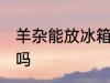 羊杂能放冰箱保鲜吗 羊杂可以放冰箱吗