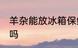 羊杂能放冰箱保鲜吗 羊杂可以放冰箱吗