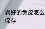 剥好的兔皮怎么保存 剥好的兔皮如何保存