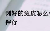 剥好的兔皮怎么保存 剥好的兔皮如何保存