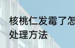 核桃仁发霉了怎么处理 核桃仁生霉的处理方法