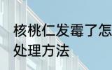 核桃仁发霉了怎么处理 核桃仁生霉的处理方法